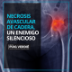 Necrosis avascular de cadera por el Dr. Lluís Puig Verdié Hospital Quirónsalud Barcelona